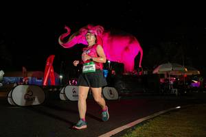 BIB: 
                            <button type="button" onclick="openModal(26543373)" class="btn btn-primary btn-sm float-right btn-popup" data-toggle="modal" data-target=".modal-high-quality">
                        <i class="fas fa-shopping-cart"></i> Add to Cart
                    </button>
                                            <button type="button" onclick="isThisMe(26543373, true)" class="btn btn-success btn-sm float-right btn-popup btn-isme hidden" data-toggle="tooltip" data-placement="bottom" title="นี่คือรูปของคุณใช่ไหม คลิกที่นี่เพื่อเอาเข้าอัลบั้ม">
                        <i class="fas fa-plus"></i> Add to album
                    </button>
                    <button type="button" onclick="isThisMe(26543373, false)" class="btn btn-warning btn-sm float-right btn-popup btn-isnotme hidden">
                        <i class="fas fa-ban"></i> Remove from album
                    </button>